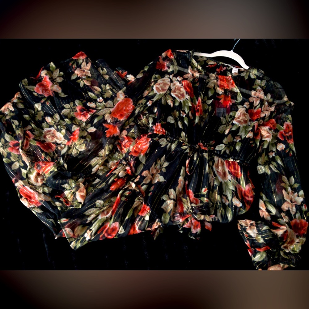 NWT Chelsea & Violet Long Sleeve Floral Illusion Dress M
